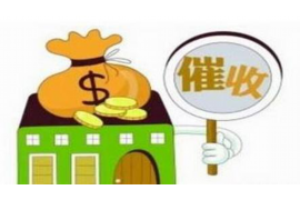 溧阳溧阳的要账公司在催收过程中的策略和技巧有哪些？